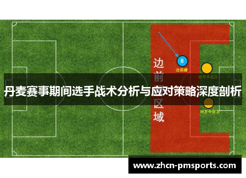 丹麦赛事期间选手战术分析与应对策略深度剖析